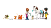 Animal Vet Clinic