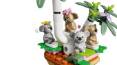 Koala Habitat &amp; Care Center