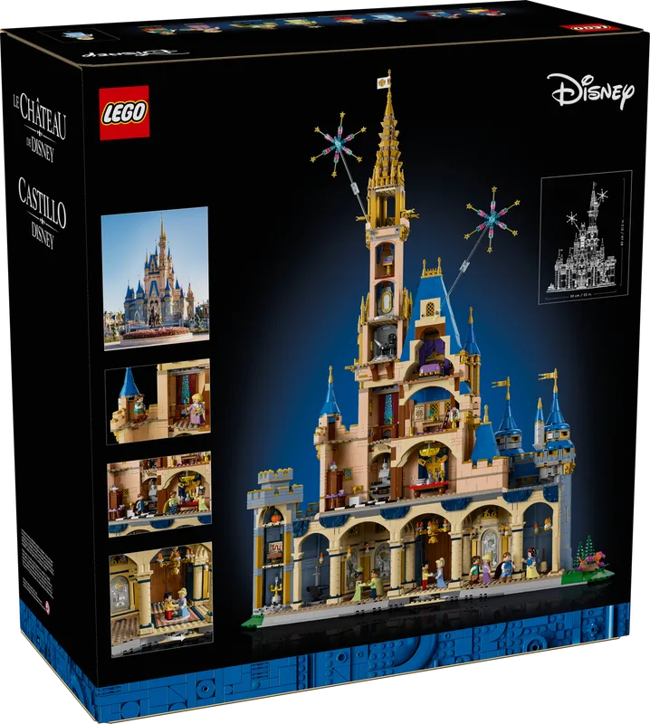 Disney Castle