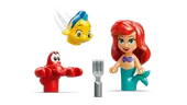Ariel's Magical Mini Palace