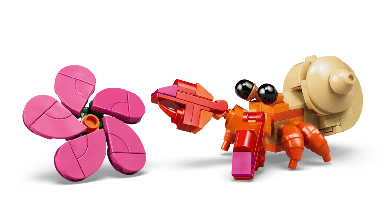 Pua