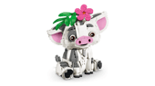 Pua