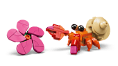 Pua