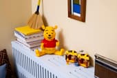 Winnie the Pooh