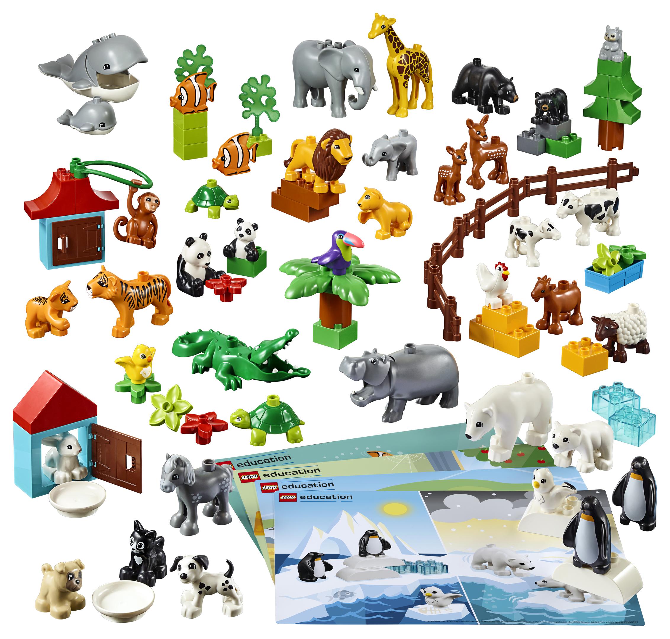 Animals