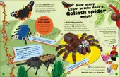 Amazing But True – Fun Facts About the LEGO World and Our Own