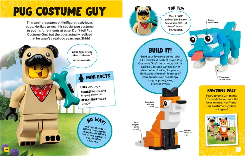 Meet The Minifigures