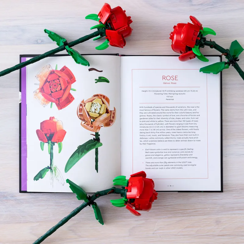 Botanical Almanac: A Field Guide to Brick-Built Blooms