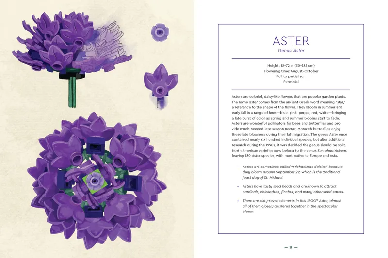 Botanical Almanac: A Field Guide to Brick-Built Blooms
