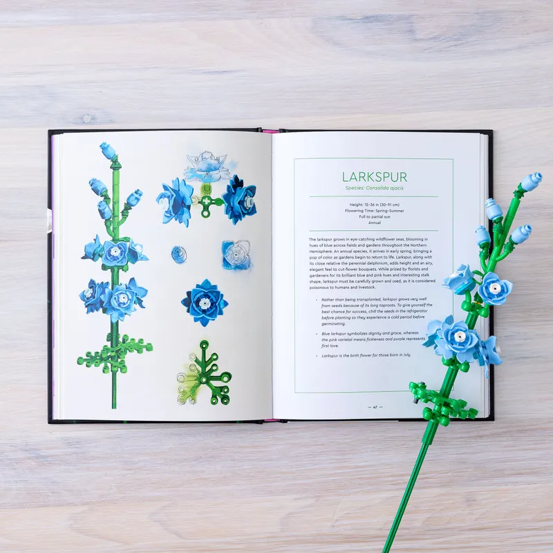 Botanical Almanac: A Field Guide to Brick-Built Blooms