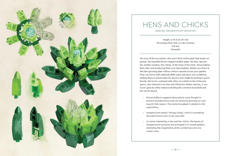 Botanical Almanac: A Field Guide to Brick-Built Blooms