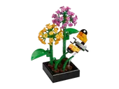 Butterfly Garden
