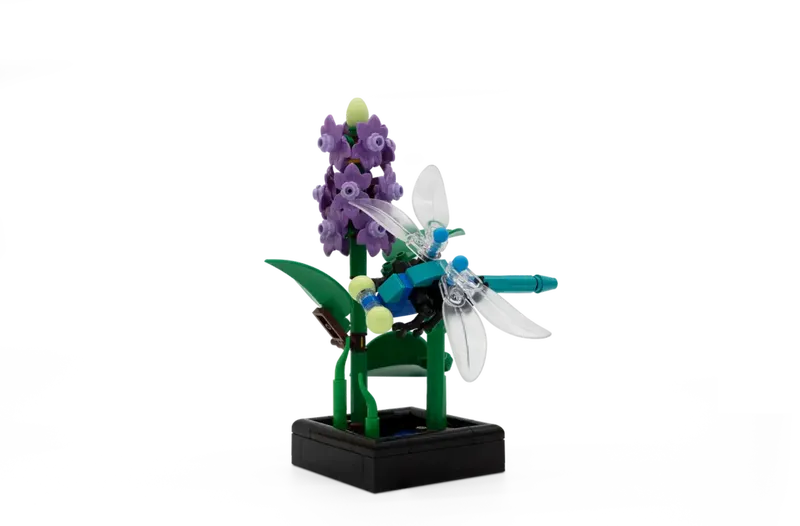 Dragonfly Garden