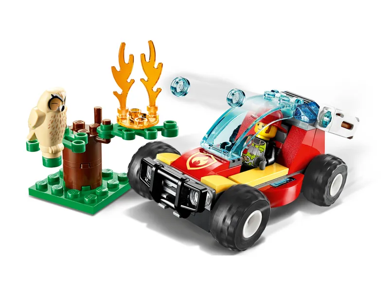 Forest Fire