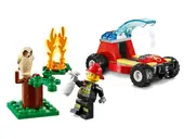 Forest Fire