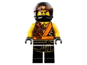 Cole - Spinjitzu Master