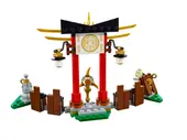 Master Wu Dragon