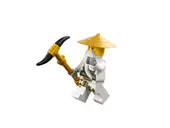 Master Wu Dragon