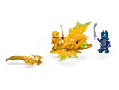 Arin's Rising Dragon Strike