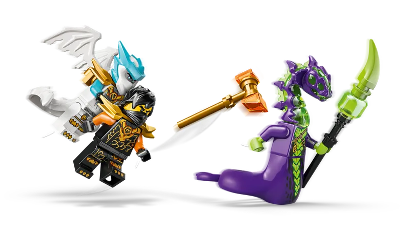 Cole's Mission Mech &amp; Dragon Zane