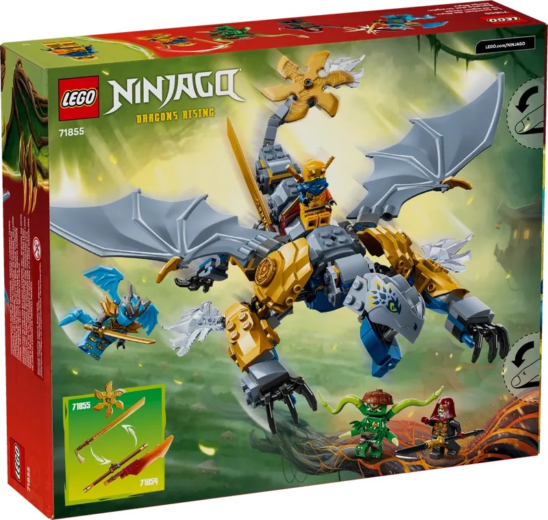 Ninja Dragon Riyu's Battle