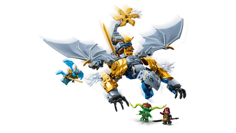 Ninja Dragon Riyu's Battle