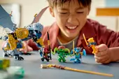 Ninja Dragon Riyu's Battle