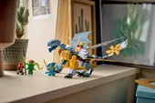 Ninja Dragon Riyu's Battle