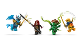 Ninja Dragon Riyu's Battle
