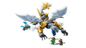 Ninja Dragon Riyu's Battle