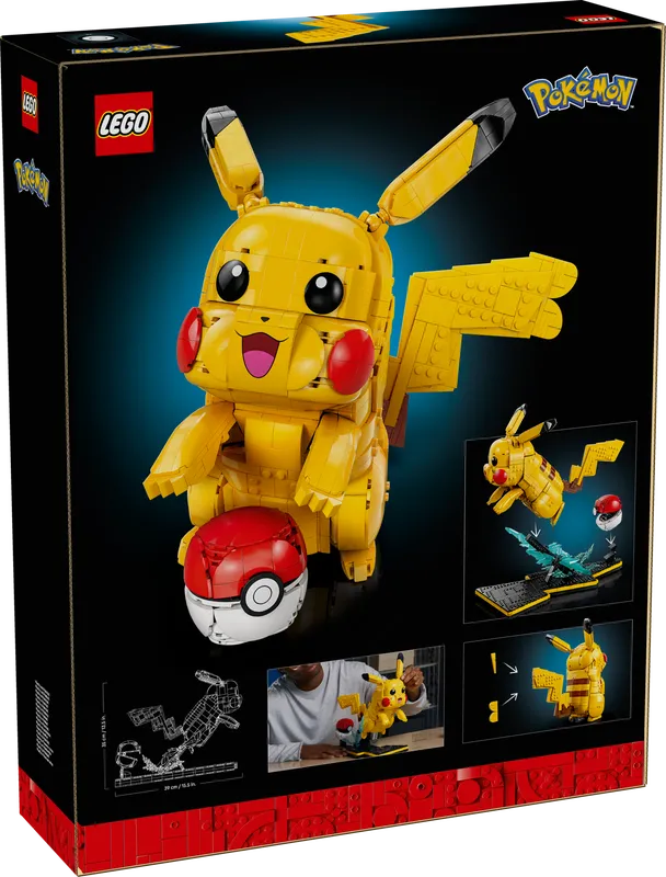 Pikachu and Poké Ball