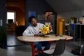 Pikachu and Poké Ball