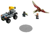 Pteranodon Chase