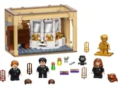 Hogwarts: Polyjuice Potion Mistake