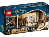 Hogwarts: Polyjuice Potion Mistake
