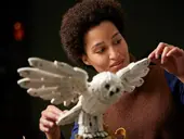 Hogwarts Icons Collectors' Edition