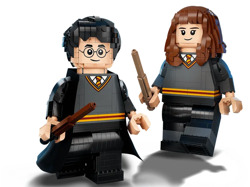 Harry Potter &amp; Hermione Granger