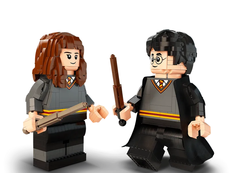 Harry Potter &amp; Hermione Granger