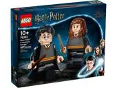Harry Potter &amp; Hermione Granger