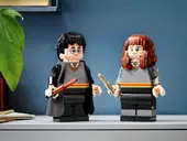 Harry Potter &amp; Hermione Granger