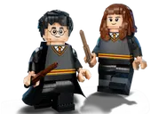 Harry Potter &amp; Hermione Granger