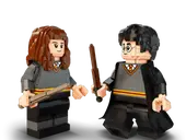 Harry Potter &amp; Hermione Granger