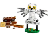 Hedwig at 4 Privet Drive