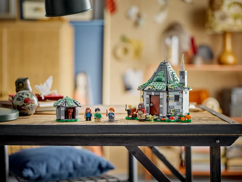 Hagrid's Hut: An Unexpected Visit