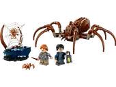 Aragog in the Forbidden Forest