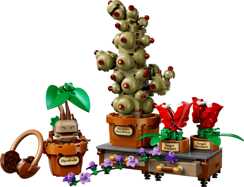 Hogwarts Herbology Plants