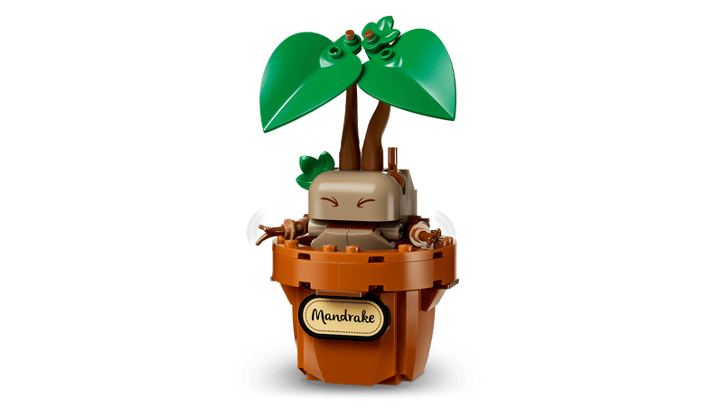 Hogwarts Herbology Plants