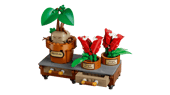 Hogwarts Herbology Plants