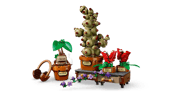 Hogwarts Herbology Plants