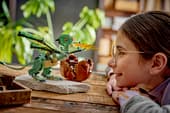 Norbert: Hagrid's Baby Dragon